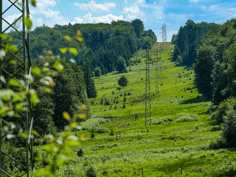 Green travel adventure